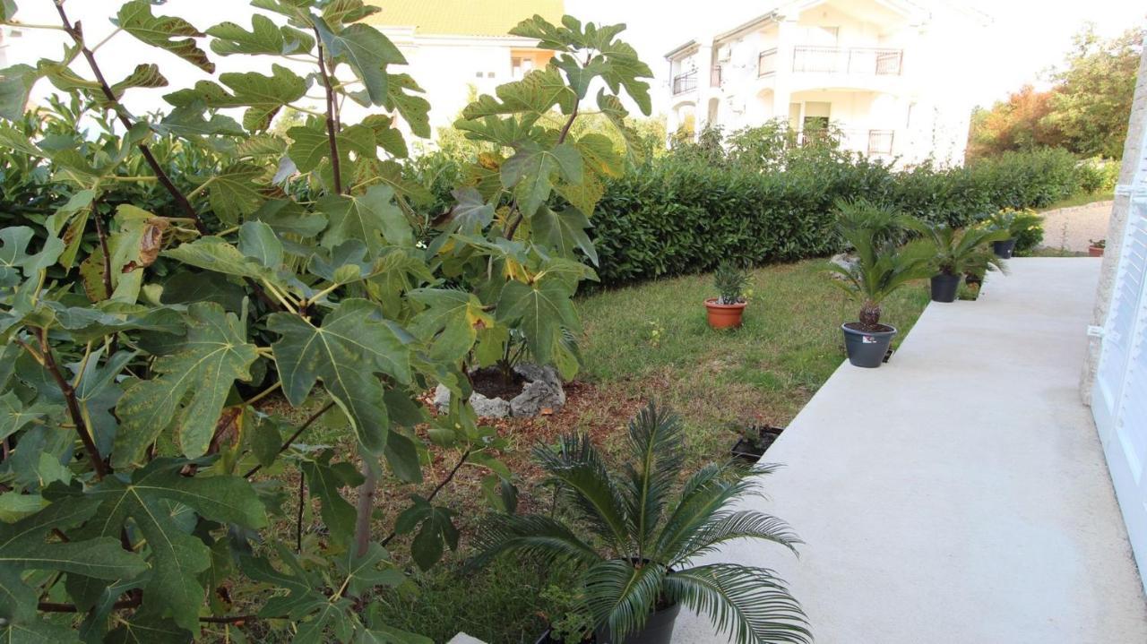 Apartments Jela Sveti Vid-Miholjice Екстер'єр фото